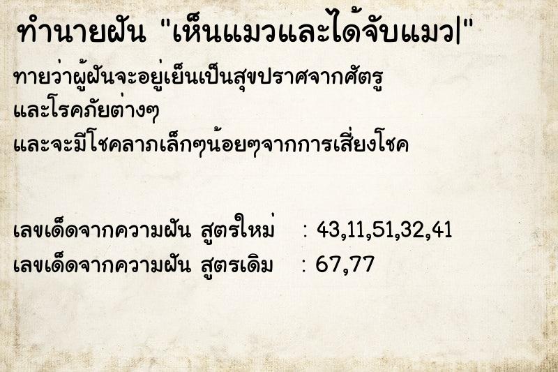 ทำนายฝันทำนายฝันเห็นแมวและได้จับแมว|